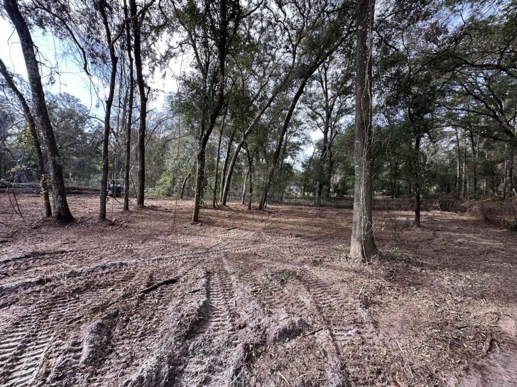 Freshly cleared land prepared for construction.